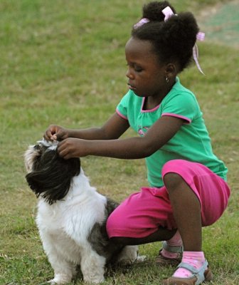 Child Grooms Her Puppy at the Park