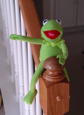 Kermit Riding the Rail.