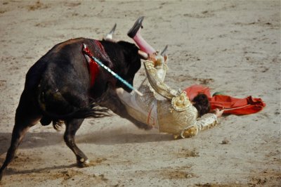 Mexican Bullfighter Goes Down