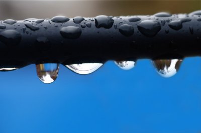 Water Drops.jpg