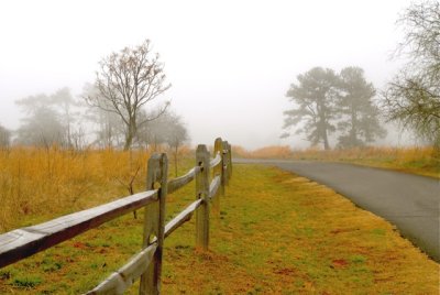 Foggy Landscape.jpg