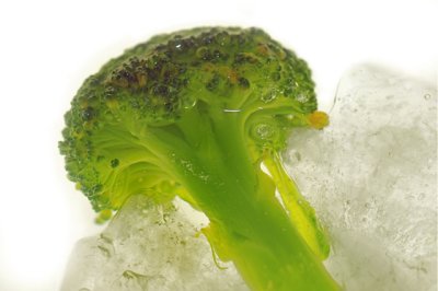 Broccoli In Ice.