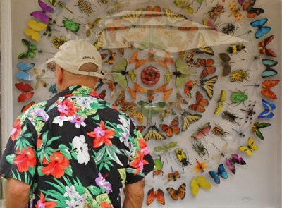 Butterfly Man   /  2009 Decatur Arts Festival