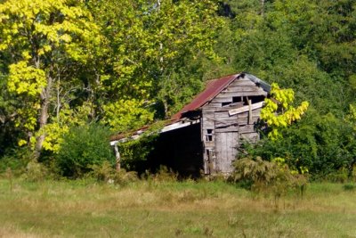 Fall Barn.jpg