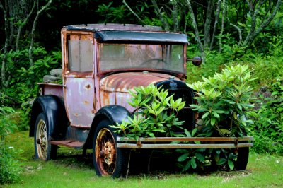 Old Ford Truck.jpg