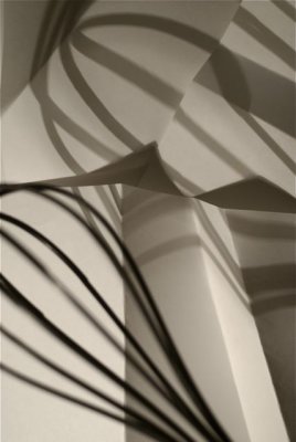 Wisk & Paper Shadows # 3