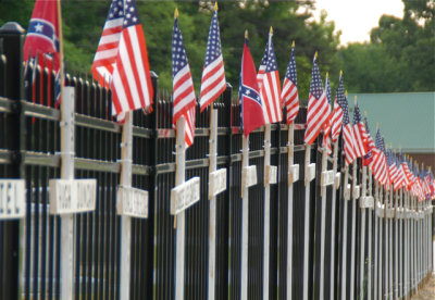 American Flags Display/ Memorial Day Tribute