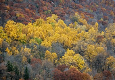 IMG_00072.jpg