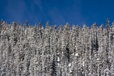 IMG_7425.jpg
