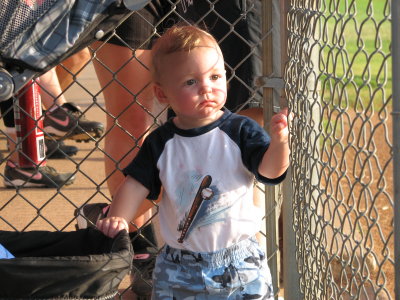 Baseball fan