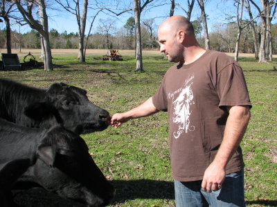 Jon feeding the cow