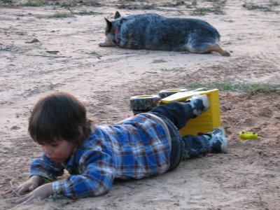 JoJo playing in the dirt & Harley too