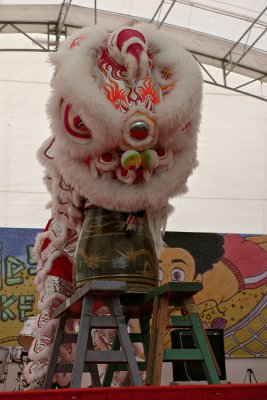 20D_17558.jpg