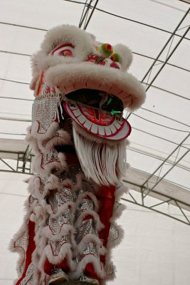 20D_17559.jpg