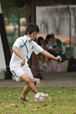 40D_00998.jpg