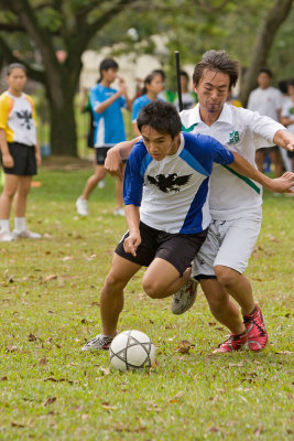 40D_01016.jpg