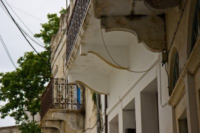 IMG_5224.jpg