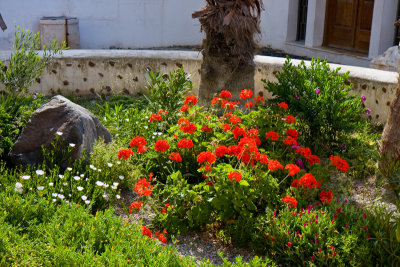 IMG_5291.jpg