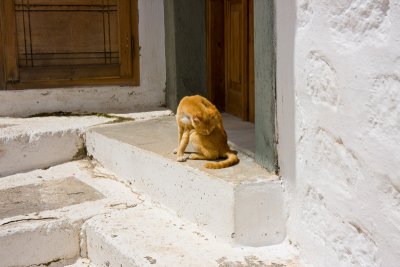 IMG_5483.jpg