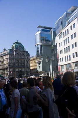 IMG_2381.jpg