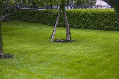 Franciscans' Gardens