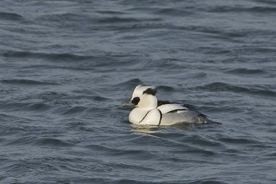 IMG_9987.jpg