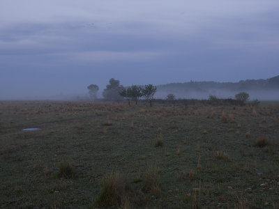 La Crau, Provence