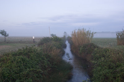 La Crau