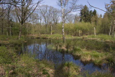 Elmpter Schwalmbruch