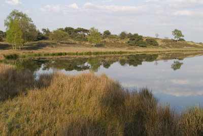 Driessenven