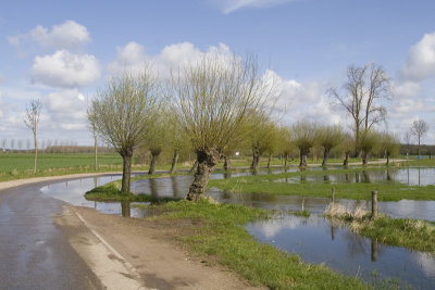 Swalm buiten de oevers