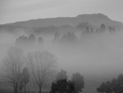 Cumberland Mountains in Winter Fog