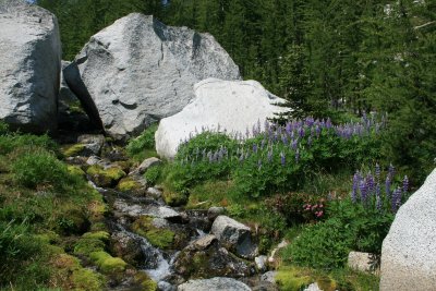 Rock Garden. As seen on the way to Shield Lake