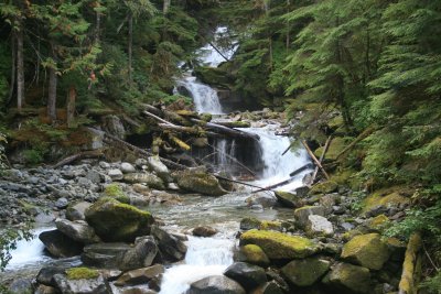 Rushing waters on Indian Creek, North Cascades.