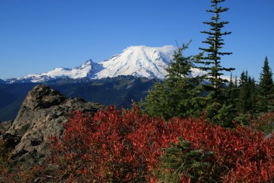 Mt. Rainier with fall colors, near Corral Pass.