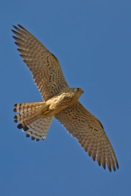 g1/96/890696/3/116931209.wYXF2Sn9.jpg