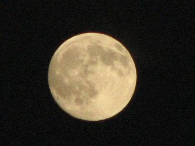 Bad Moon Rising