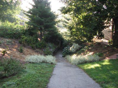 Morning at Tunnel