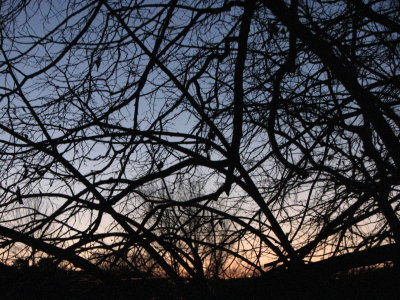 Early Morning Blues