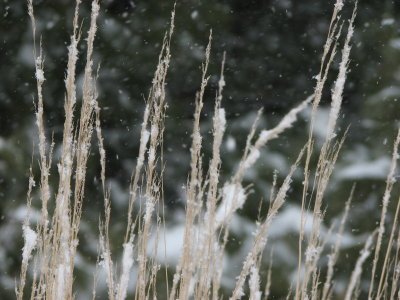 And the Wind Whispers...