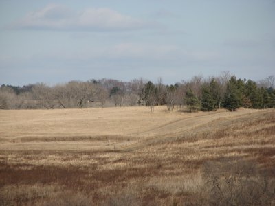 That Countryside of Life