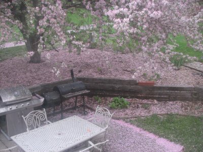 A Pinkout