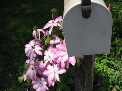 You've Got Mail