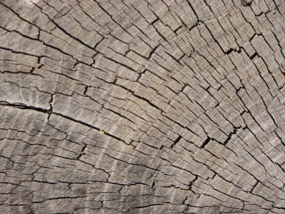 Textured