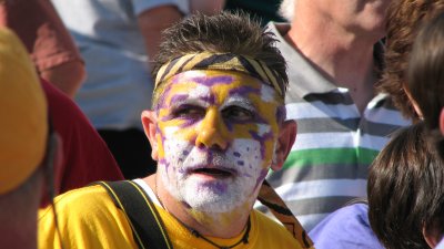 Might be a Tiger Fan