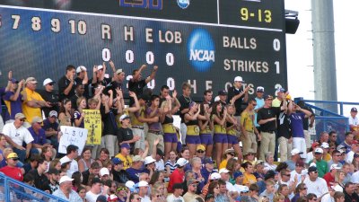 Tiger Fans
