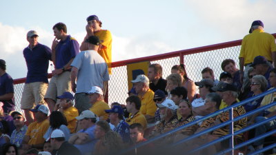Tiger Fans Everywhere