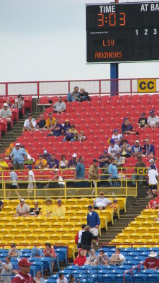 LSU game3 043.jpg
