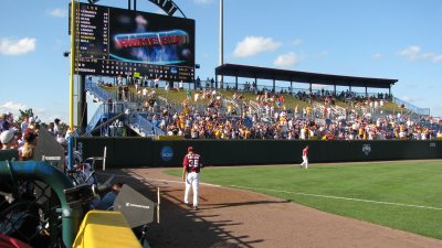 LSU game3 264.jpg