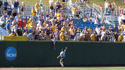 LSU game3 285.jpg